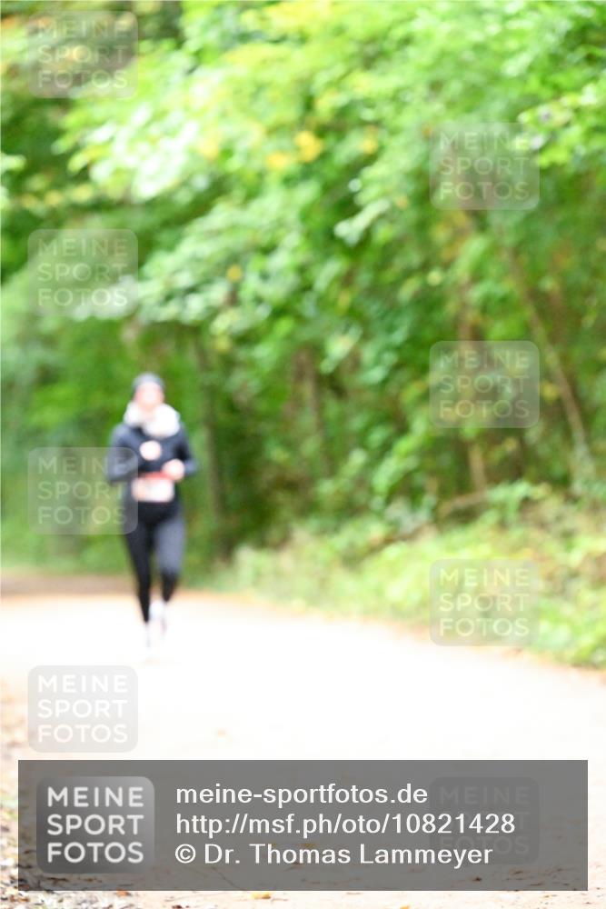 11.10.2026 - Bramfelder Halbmarathon 2026 Dr. Thomas Lammeyer http://msf.ph/oto/10821428 11.10.2026 10:27:01 Laufen  meine-sportfotos.de
