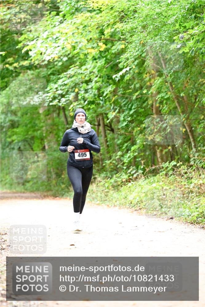 11.10.2026 - Bramfelder Halbmarathon 2026 Dr. Thomas Lammeyer http://msf.ph/oto/10821433 11.10.2026 10:27:03 Laufen 495 meine-sportfotos.de