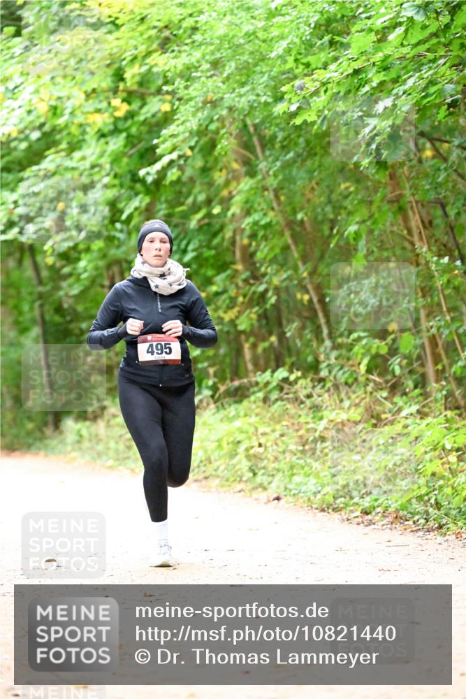 11.10.2026 - Bramfelder Halbmarathon 2026 Dr. Thomas Lammeyer http://msf.ph/oto/10821440 11.10.2026 10:27:04 Laufen 495 meine-sportfotos.de