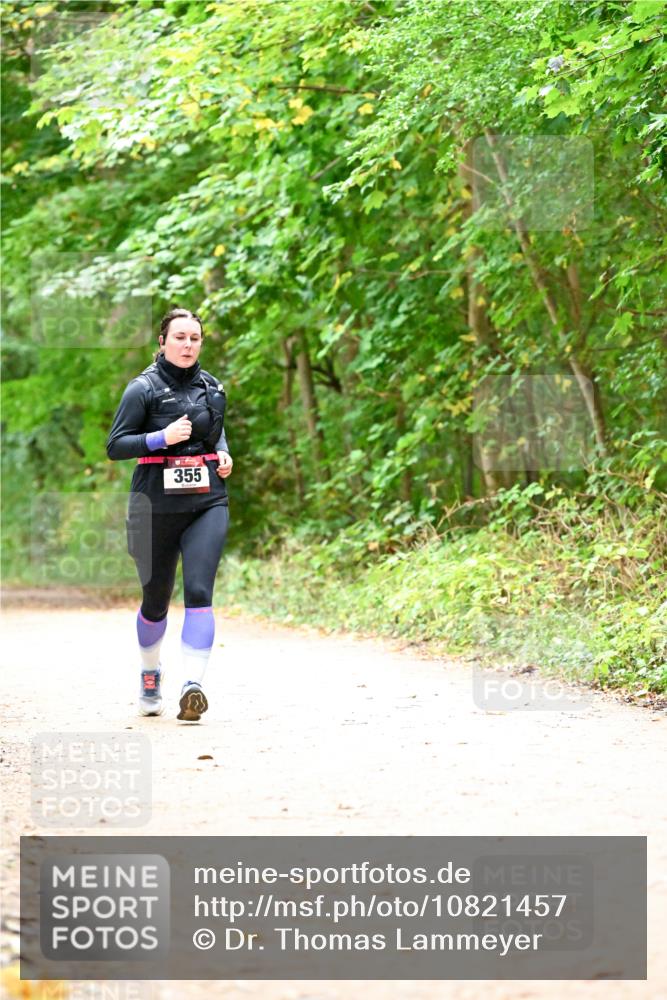 11.10.2026 - Bramfelder Halbmarathon 2026 Dr. Thomas Lammeyer http://msf.ph/oto/10821457 11.10.2026 10:27:20 Laufen 355 meine-sportfotos.de
