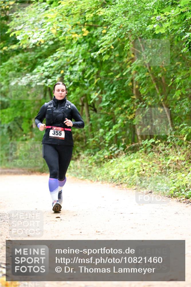 11.10.2026 - Bramfelder Halbmarathon 2026 Dr. Thomas Lammeyer http://msf.ph/oto/10821460 11.10.2026 10:27:21 Laufen 355 meine-sportfotos.de