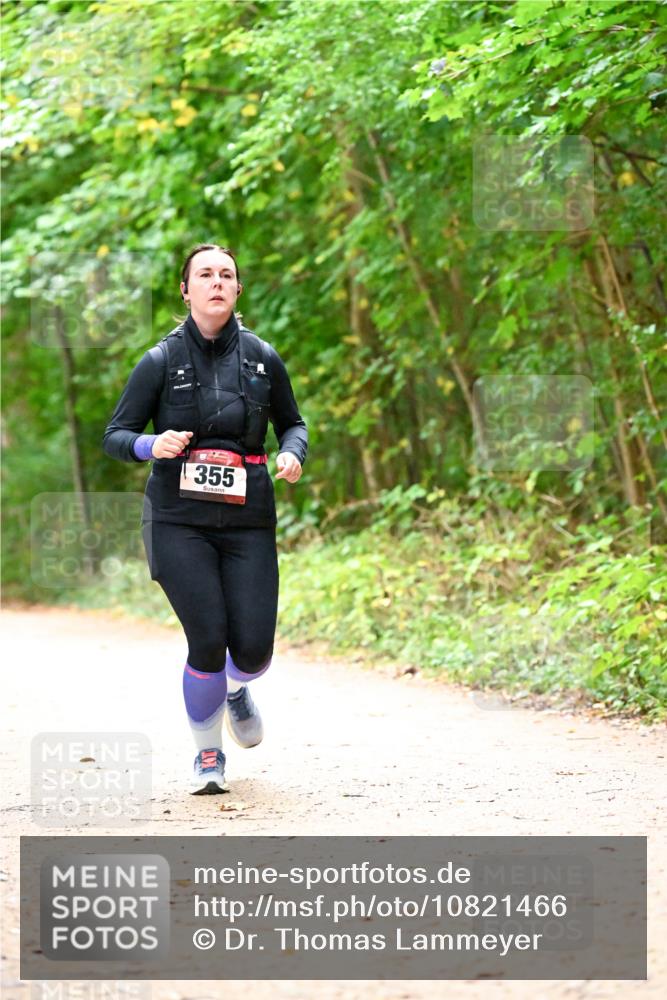 11.10.2026 - Bramfelder Halbmarathon 2026 Dr. Thomas Lammeyer http://msf.ph/oto/10821466 11.10.2026 10:27:21 Laufen 355 meine-sportfotos.de