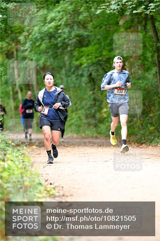 11.10.2026 - Bramfelder Halbmarathon 2026 Dr. Thomas Lammeyer http://msf.ph/oto/10821505 11.10.2026 10:27:59 Laufen 232 meine-sportfotos.de