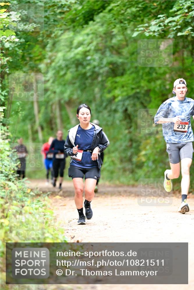 11.10.2026 - Bramfelder Halbmarathon 2026 Dr. Thomas Lammeyer http://msf.ph/oto/10821511 11.10.2026 10:28:00 Laufen 232 meine-sportfotos.de