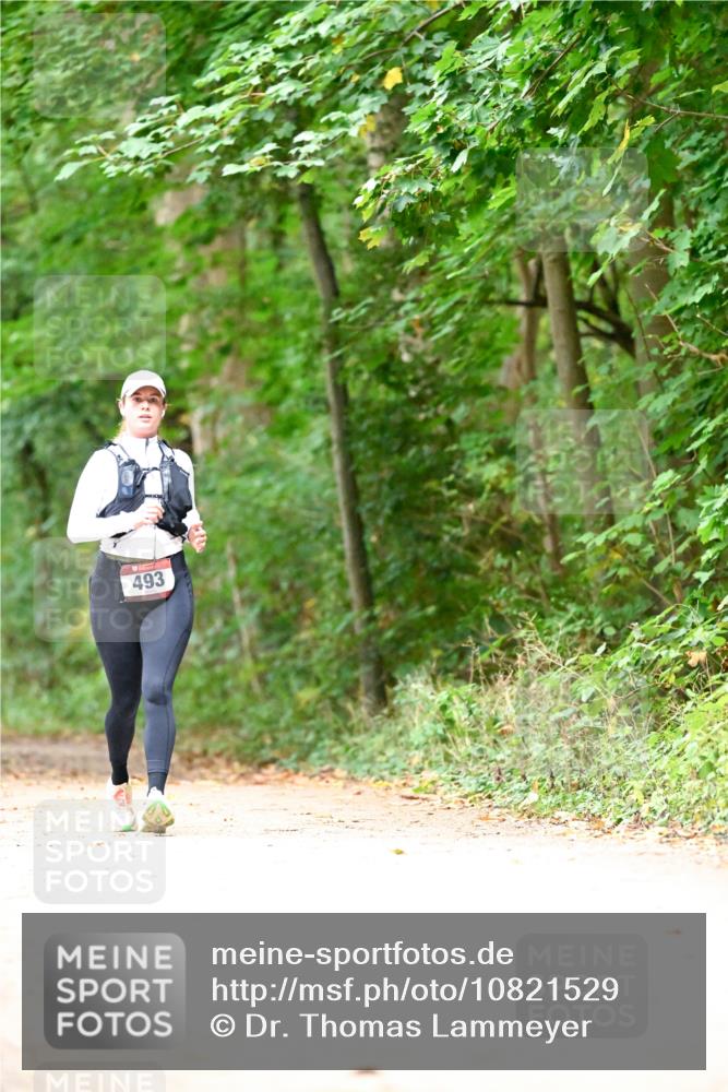 11.10.2026 - Bramfelder Halbmarathon 2026 Dr. Thomas Lammeyer http://msf.ph/oto/10821529 11.10.2026 10:28:06 Laufen 493 meine-sportfotos.de