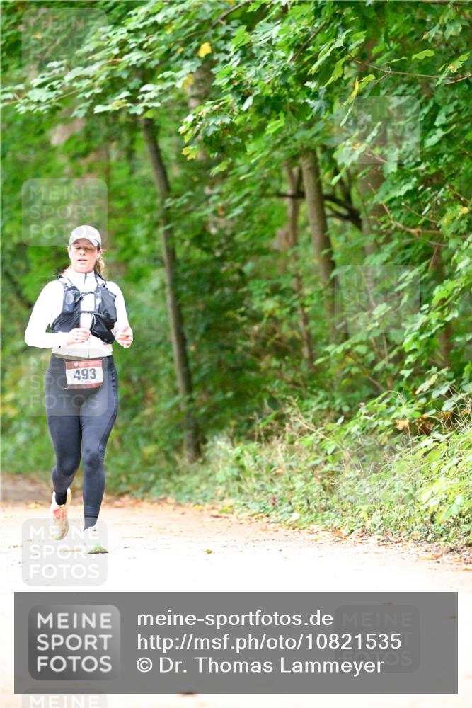 11.10.2026 - Bramfelder Halbmarathon 2026 Dr. Thomas Lammeyer http://msf.ph/oto/10821535 11.10.2026 10:28:07 Laufen 493 meine-sportfotos.de