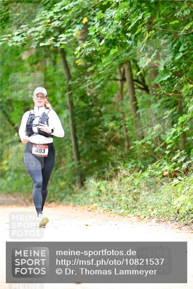 11.10.2026 - Bramfelder Halbmarathon 2026 Dr. Thomas Lammeyer http://msf.ph/oto/10821537 11.10.2026 10:28:07 Laufen 493 meine-sportfotos.de