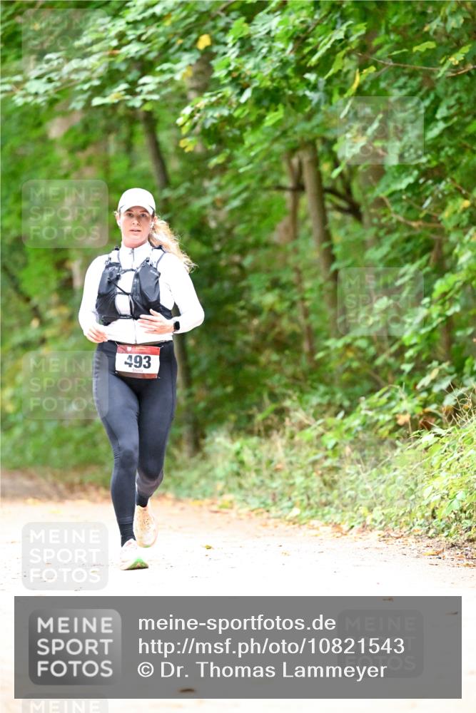 11.10.2026 - Bramfelder Halbmarathon 2026 Dr. Thomas Lammeyer http://msf.ph/oto/10821543 11.10.2026 10:28:08 Laufen 493 meine-sportfotos.de