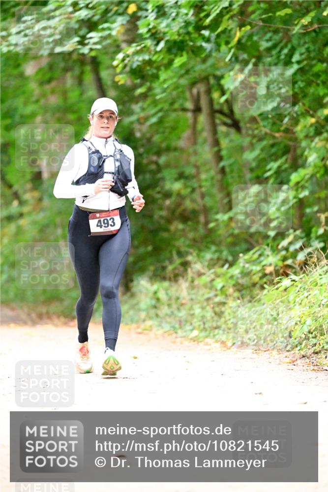 11.10.2026 - Bramfelder Halbmarathon 2026 Dr. Thomas Lammeyer http://msf.ph/oto/10821545 11.10.2026 10:28:08 Laufen 493 meine-sportfotos.de