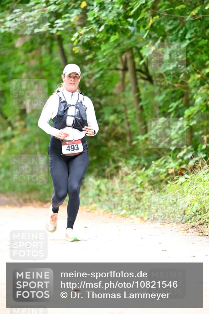 11.10.2026 - Bramfelder Halbmarathon 2026 Dr. Thomas Lammeyer http://msf.ph/oto/10821546 11.10.2026 10:28:08 Laufen 493 meine-sportfotos.de