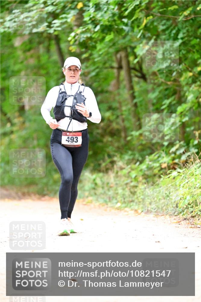 11.10.2026 - Bramfelder Halbmarathon 2026 Dr. Thomas Lammeyer http://msf.ph/oto/10821547 11.10.2026 10:28:08 Laufen 493 meine-sportfotos.de