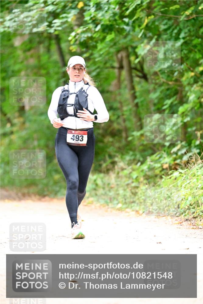 11.10.2026 - Bramfelder Halbmarathon 2026 Dr. Thomas Lammeyer http://msf.ph/oto/10821548 11.10.2026 10:28:08 Laufen 493 meine-sportfotos.de