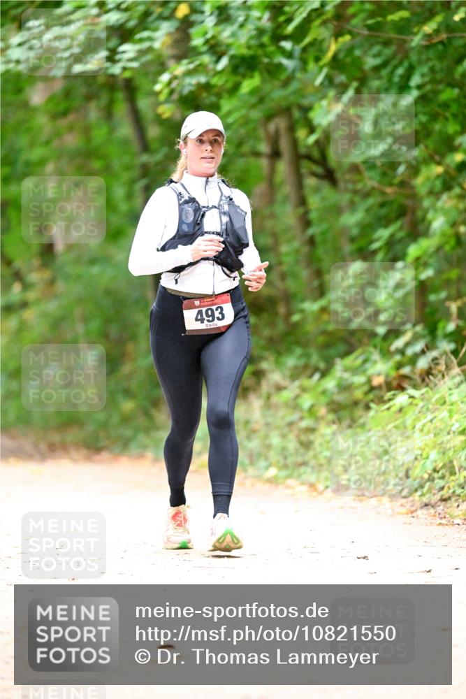11.10.2026 - Bramfelder Halbmarathon 2026 Dr. Thomas Lammeyer http://msf.ph/oto/10821550 11.10.2026 10:28:09 Laufen 493 meine-sportfotos.de