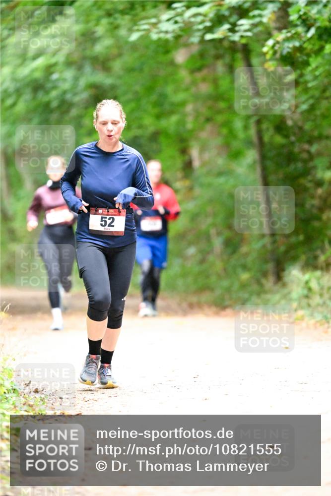 11.10.2026 - Bramfelder Halbmarathon 2026 Dr. Thomas Lammeyer http://msf.ph/oto/10821555 11.10.2026 10:28:10 Laufen 2, 52 meine-sportfotos.de