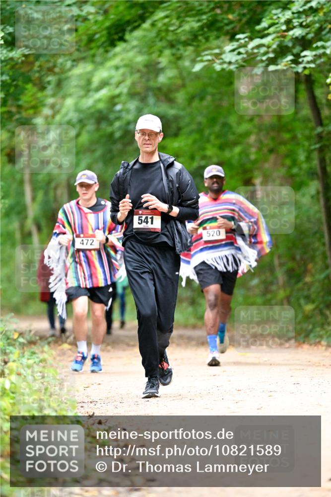 11.10.2026 - Bramfelder Halbmarathon 2026 Dr. Thomas Lammeyer http://msf.ph/oto/10821589 11.10.2026 10:28:25 Laufen 472, 541, 520 meine-sportfotos.de