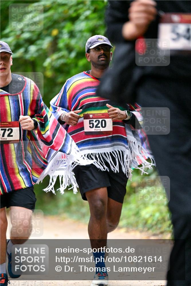 11.10.2026 - Bramfelder Halbmarathon 2026 Dr. Thomas Lammeyer http://msf.ph/oto/10821614 11.10.2026 10:28:30 Laufen 7, 15, 72, 35, 520, 54 meine-sportfotos.de