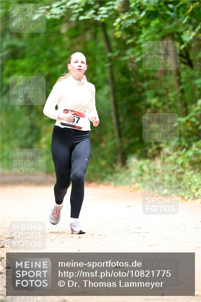 11.10.2026 - Bramfelder Halbmarathon 2026 Dr. Thomas Lammeyer http://msf.ph/oto/10821775 11.10.2026 10:29:40 Laufen 57 meine-sportfotos.de