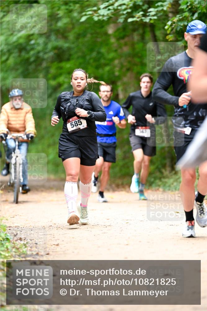 11.10.2026 - Bramfelder Halbmarathon 2026 Dr. Thomas Lammeyer http://msf.ph/oto/10821825 11.10.2026 10:30:01 Laufen 585, 75, 363 meine-sportfotos.de