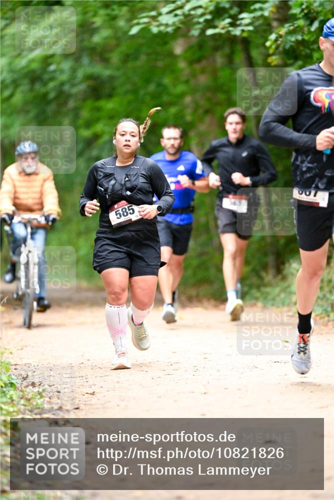 11.10.2026 - Bramfelder Halbmarathon 2026 Dr. Thomas Lammeyer http://msf.ph/oto/10821826 11.10.2026 10:30:01 Laufen 585, 75, 007 meine-sportfotos.de