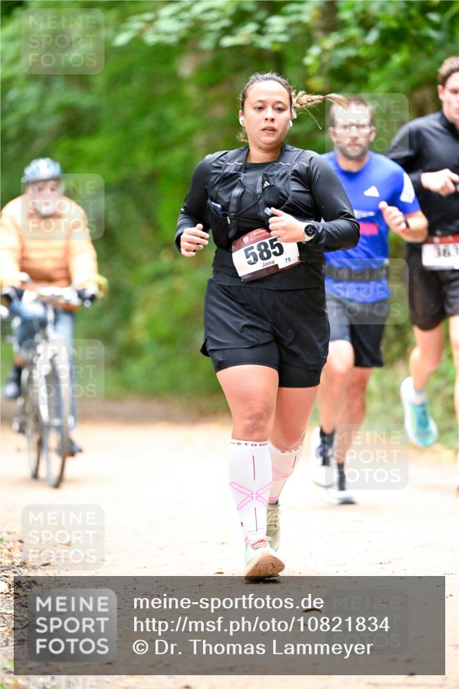 11.10.2026 - Bramfelder Halbmarathon 2026 Dr. Thomas Lammeyer http://msf.ph/oto/10821834 11.10.2026 10:30:03 Laufen 585, 75, 367 meine-sportfotos.de