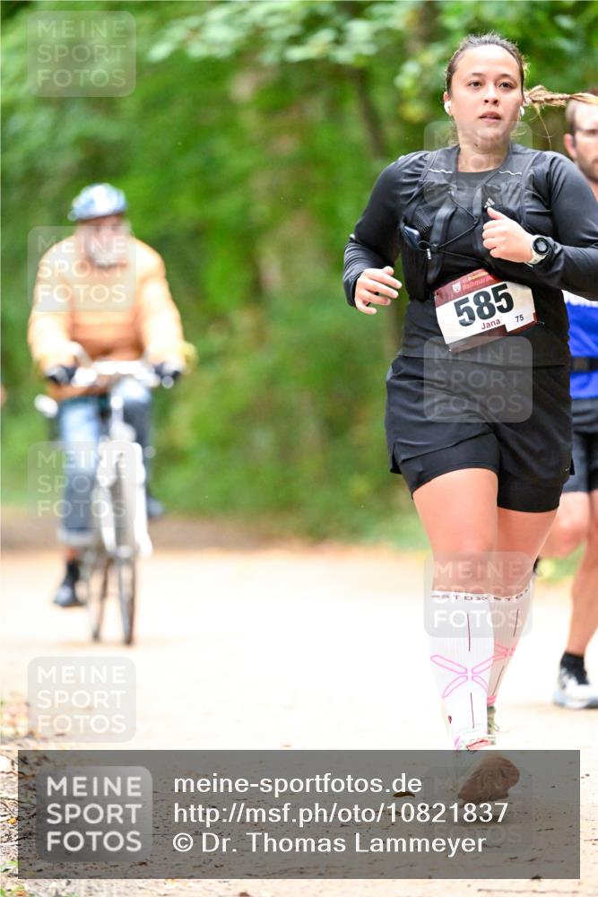 11.10.2026 - Bramfelder Halbmarathon 2026 Dr. Thomas Lammeyer http://msf.ph/oto/10821837 11.10.2026 10:30:04 Laufen 35, 585, 75 meine-sportfotos.de