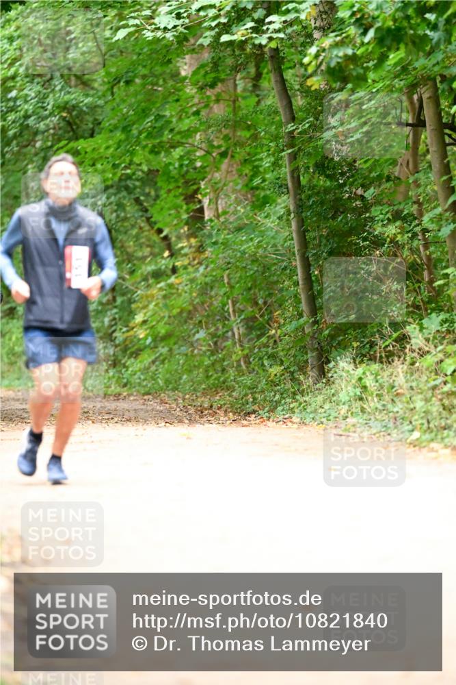 11.10.2026 - Bramfelder Halbmarathon 2026 Dr. Thomas Lammeyer http://msf.ph/oto/10821840 11.10.2026 10:30:09 Laufen  meine-sportfotos.de