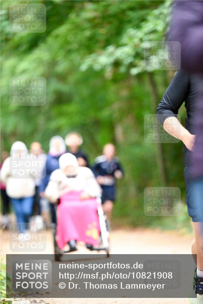 11.10.2026 - Bramfelder Halbmarathon 2026 Dr. Thomas Lammeyer http://msf.ph/oto/10821908 11.10.2026 10:30:39 Laufen  meine-sportfotos.de