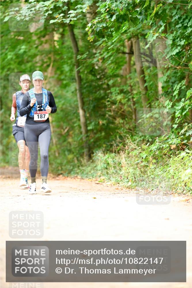 11.10.2026 - Bramfelder Halbmarathon 2026 Dr. Thomas Lammeyer http://msf.ph/oto/10822147 11.10.2026 10:32:25 Laufen 187 meine-sportfotos.de