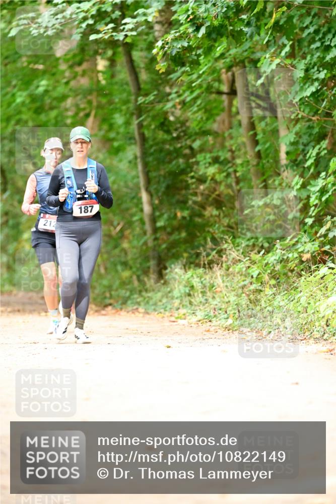 11.10.2026 - Bramfelder Halbmarathon 2026 Dr. Thomas Lammeyer http://msf.ph/oto/10822149 11.10.2026 10:32:25 Laufen 212, 187 meine-sportfotos.de