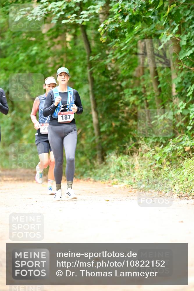 11.10.2026 - Bramfelder Halbmarathon 2026 Dr. Thomas Lammeyer http://msf.ph/oto/10822152 11.10.2026 10:32:26 Laufen 2, 187 meine-sportfotos.de