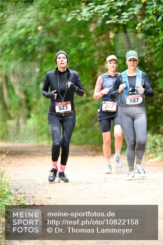 11.10.2026 - Bramfelder Halbmarathon 2026 Dr. Thomas Lammeyer http://msf.ph/oto/10822158 11.10.2026 10:32:27 Laufen 523, 212, 187 meine-sportfotos.de
