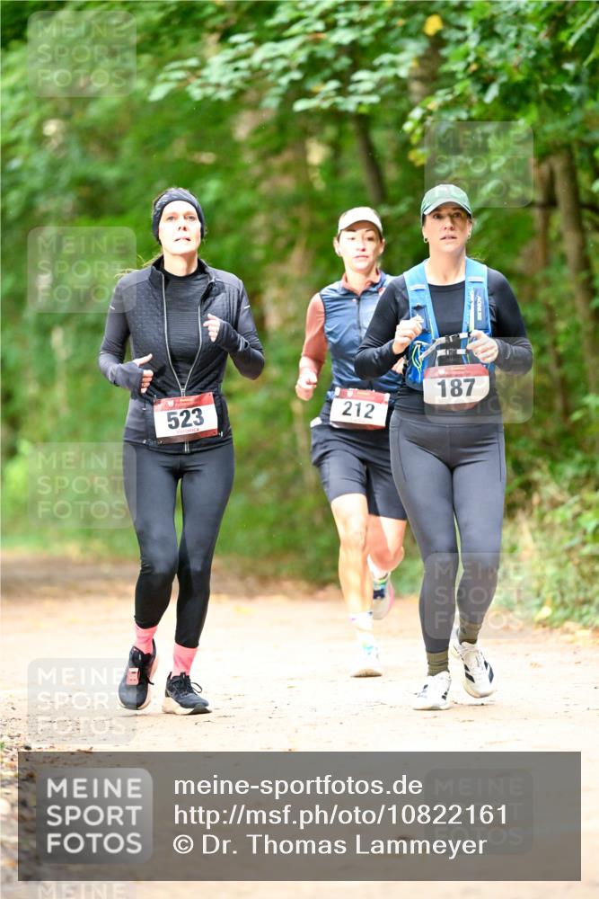 11.10.2026 - Bramfelder Halbmarathon 2026 Dr. Thomas Lammeyer http://msf.ph/oto/10822161 11.10.2026 10:32:28 Laufen 523, 212, 187 meine-sportfotos.de