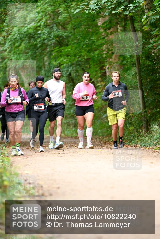 11.10.2026 - Bramfelder Halbmarathon 2026 Dr. Thomas Lammeyer http://msf.ph/oto/10822240 11.10.2026 10:33:48 Laufen 99, 190, 619, 635 meine-sportfotos.de