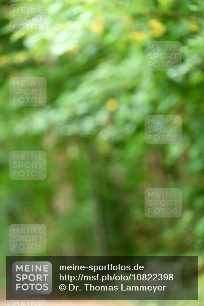 11.10.2026 - Bramfelder Halbmarathon 2026 Dr. Thomas Lammeyer http://msf.ph/oto/10822398 11.10.2026 10:34:16 Laufen  meine-sportfotos.de