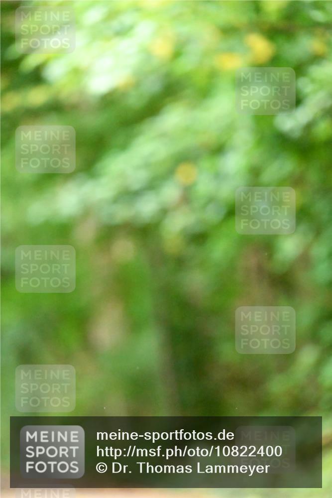 11.10.2026 - Bramfelder Halbmarathon 2026 Dr. Thomas Lammeyer http://msf.ph/oto/10822400 11.10.2026 10:34:16 Laufen  meine-sportfotos.de