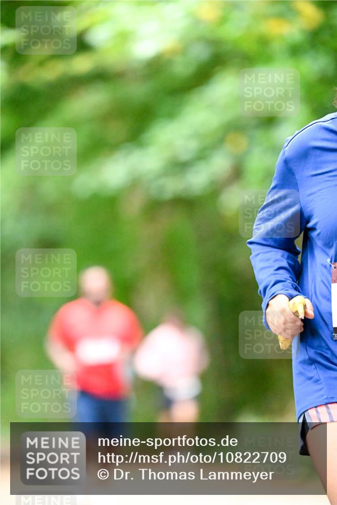 11.10.2026 - Bramfelder Halbmarathon 2026 Dr. Thomas Lammeyer http://msf.ph/oto/10822709 11.10.2026 10:35:56 Laufen  meine-sportfotos.de