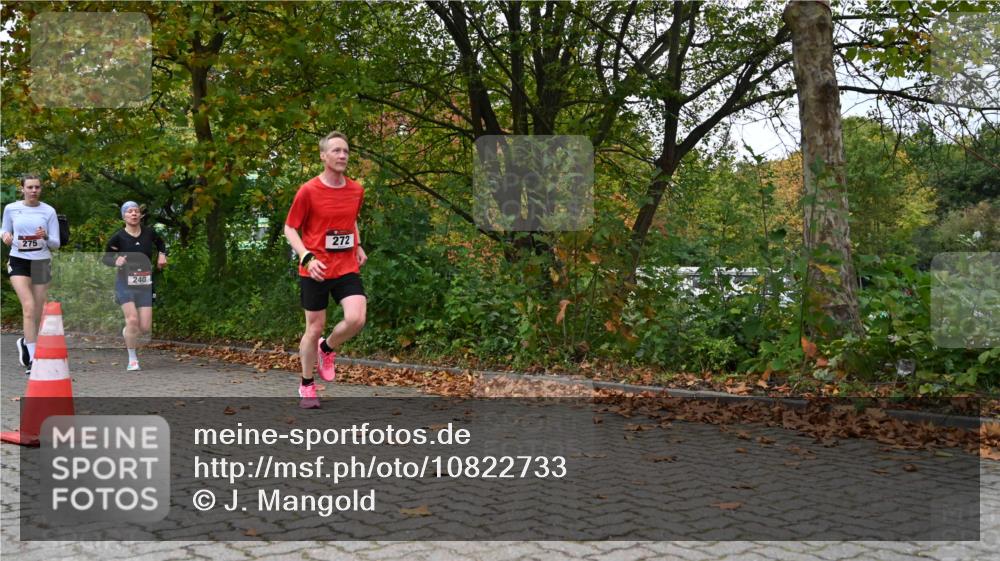 11.10.2026 - Bramfelder Halbmarathon 2026 J. Mangold http://msf.ph/oto/10822733 11.10.2026 10:22:07 Laufen 240, 272, 275 meine-sportfotos.de