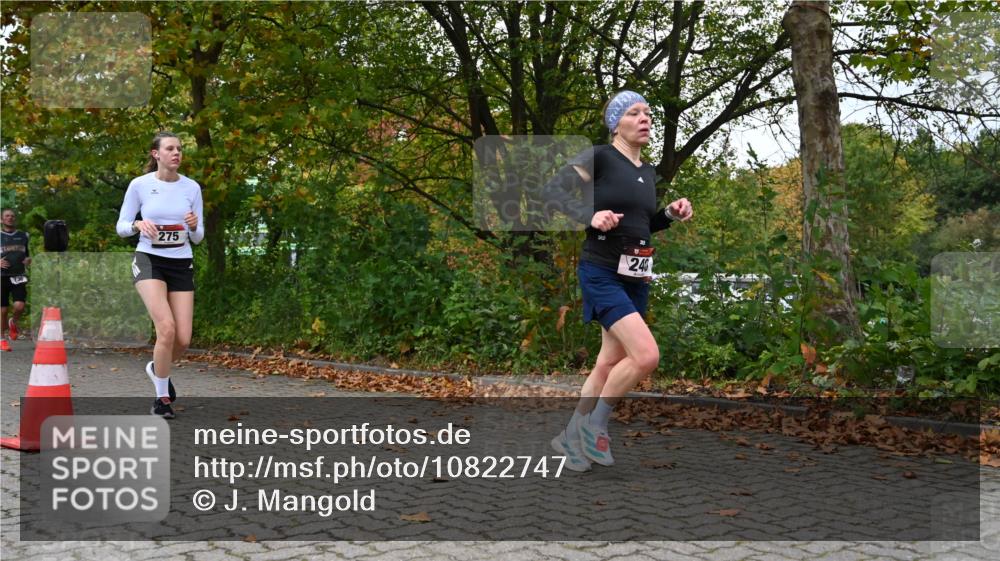 11.10.2026 - Bramfelder Halbmarathon 2026 J. Mangold http://msf.ph/oto/10822747 11.10.2026 10:22:09 Laufen 240, 272, 275, 730, 816 meine-sportfotos.de
