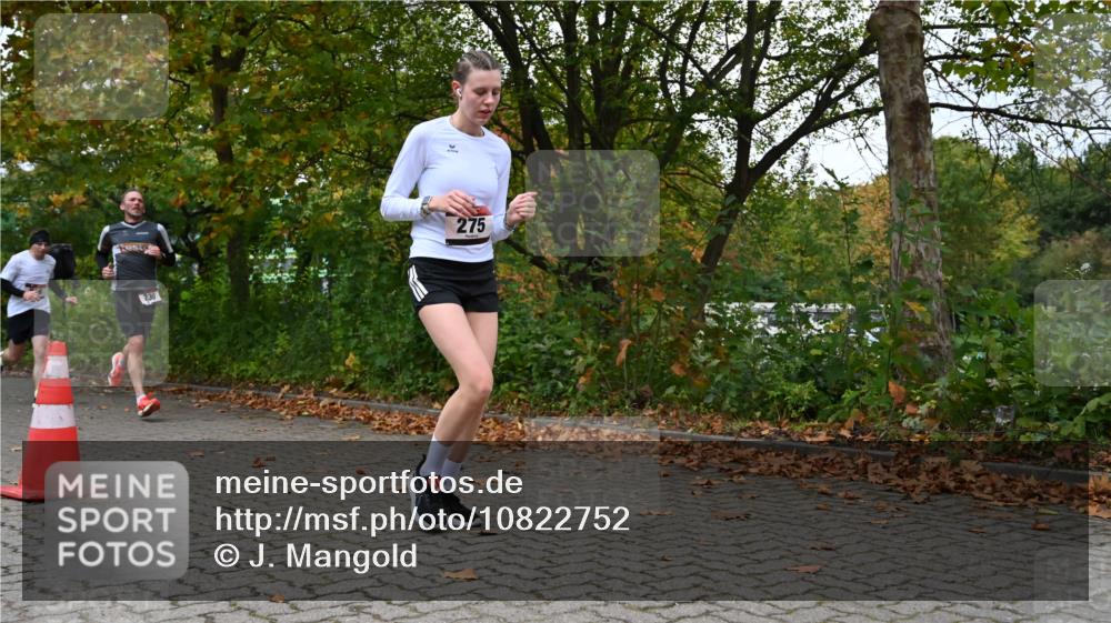 11.10.2026 - Bramfelder Halbmarathon 2026 J. Mangold http://msf.ph/oto/10822752 11.10.2026 10:22:10 Laufen 240, 272, 275, 730, 816 meine-sportfotos.de