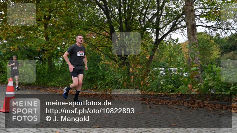 11.10.2026 - Bramfelder Halbmarathon 2026 J. Mangold http://msf.ph/oto/10822893 11.10.2026 10:23:15 Laufen 192, 328, 741 meine-sportfotos.de