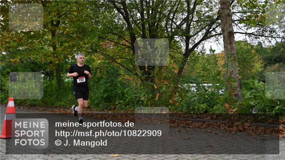 11.10.2026 - Bramfelder Halbmarathon 2026 J. Mangold http://msf.ph/oto/10822909 11.10.2026 10:23:16 Laufen 192, 328, 741 meine-sportfotos.de