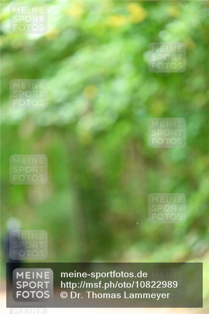 11.10.2026 - Bramfelder Halbmarathon 2026 Dr. Thomas Lammeyer http://msf.ph/oto/10822989 11.10.2026 10:36:38 Laufen  meine-sportfotos.de