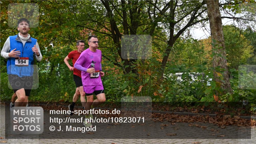 11.10.2026 - Bramfelder Halbmarathon 2026 J. Mangold http://msf.ph/oto/10823071 11.10.2026 10:27:17 Laufen 348, 460, 530, 594, 641, 804 meine-sportfotos.de