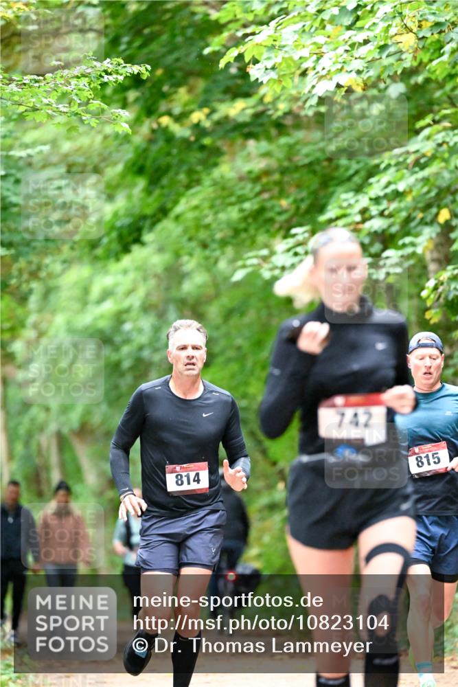 11.10.2026 - Bramfelder Halbmarathon 2026 Dr. Thomas Lammeyer http://msf.ph/oto/10823104 11.10.2026 10:37:18 Laufen 814, 742, 815 meine-sportfotos.de