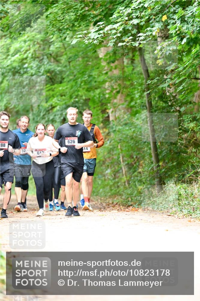 11.10.2026 - Bramfelder Halbmarathon 2026 Dr. Thomas Lammeyer http://msf.ph/oto/10823178 11.10.2026 10:37:44 Laufen 288, 32, 61, 626, 14 meine-sportfotos.de