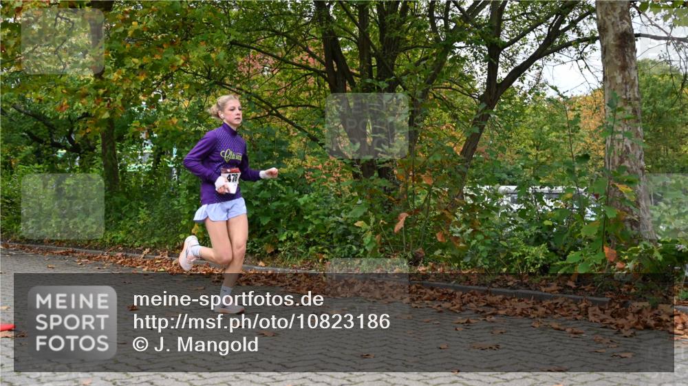 11.10.2026 - Bramfelder Halbmarathon 2026 J. Mangold http://msf.ph/oto/10823186 11.10.2026 10:28:47 Laufen 309, 478 meine-sportfotos.de