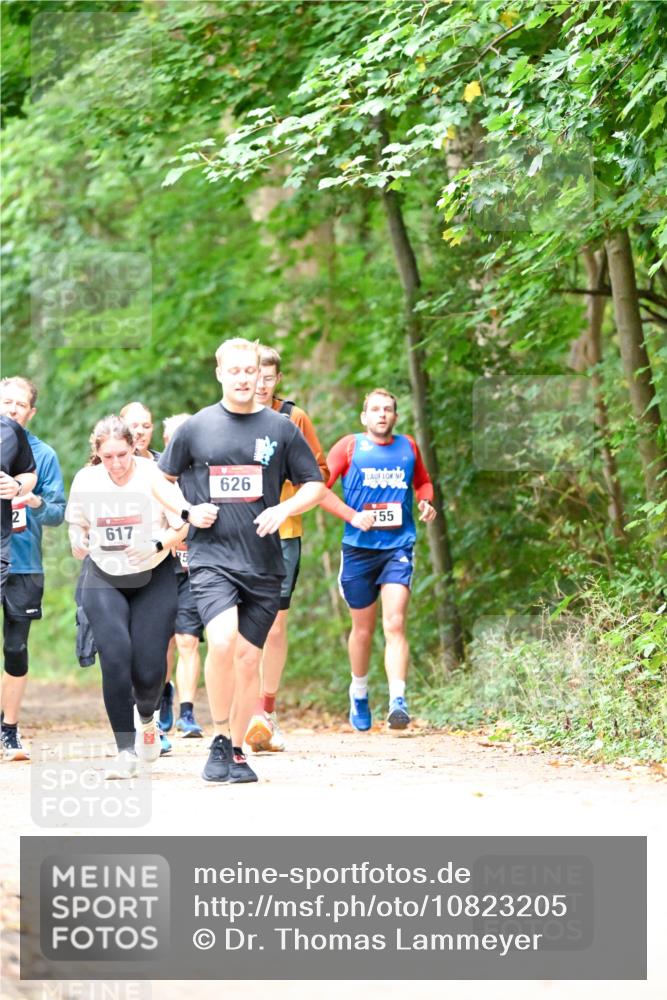 11.10.2026 - Bramfelder Halbmarathon 2026 Dr. Thomas Lammeyer http://msf.ph/oto/10823205 11.10.2026 10:37:46 Laufen 617, 626, 155 meine-sportfotos.de