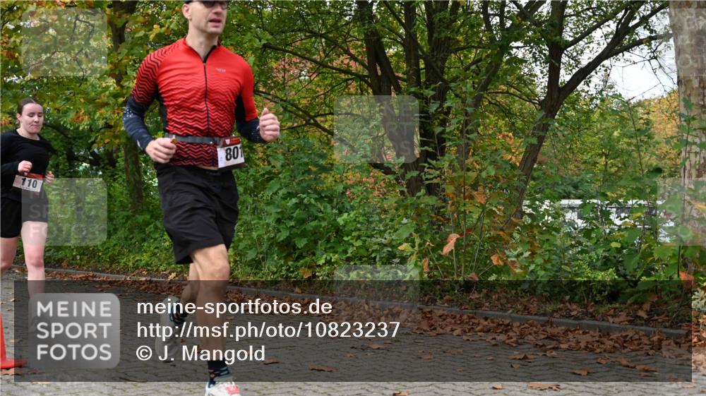 11.10.2026 - Bramfelder Halbmarathon 2026 J. Mangold http://msf.ph/oto/10823237 11.10.2026 10:30:37 Laufen 110, 270, 360, 801, 817 meine-sportfotos.de
