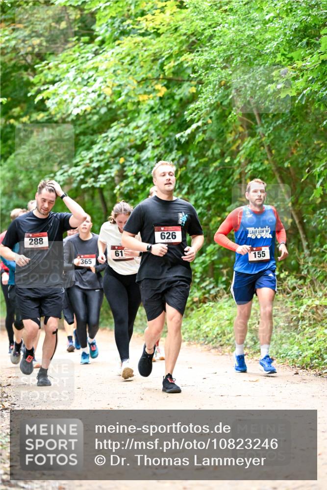 11.10.2026 - Bramfelder Halbmarathon 2026 Dr. Thomas Lammeyer http://msf.ph/oto/10823246 11.10.2026 10:37:50 Laufen 288, 365, 61, 626, 155 meine-sportfotos.de