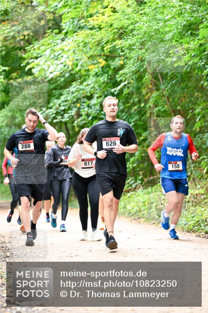 11.10.2026 - Bramfelder Halbmarathon 2026 Dr. Thomas Lammeyer http://msf.ph/oto/10823250 11.10.2026 10:37:51 Laufen 288, 65, 617, 626, 155 meine-sportfotos.de